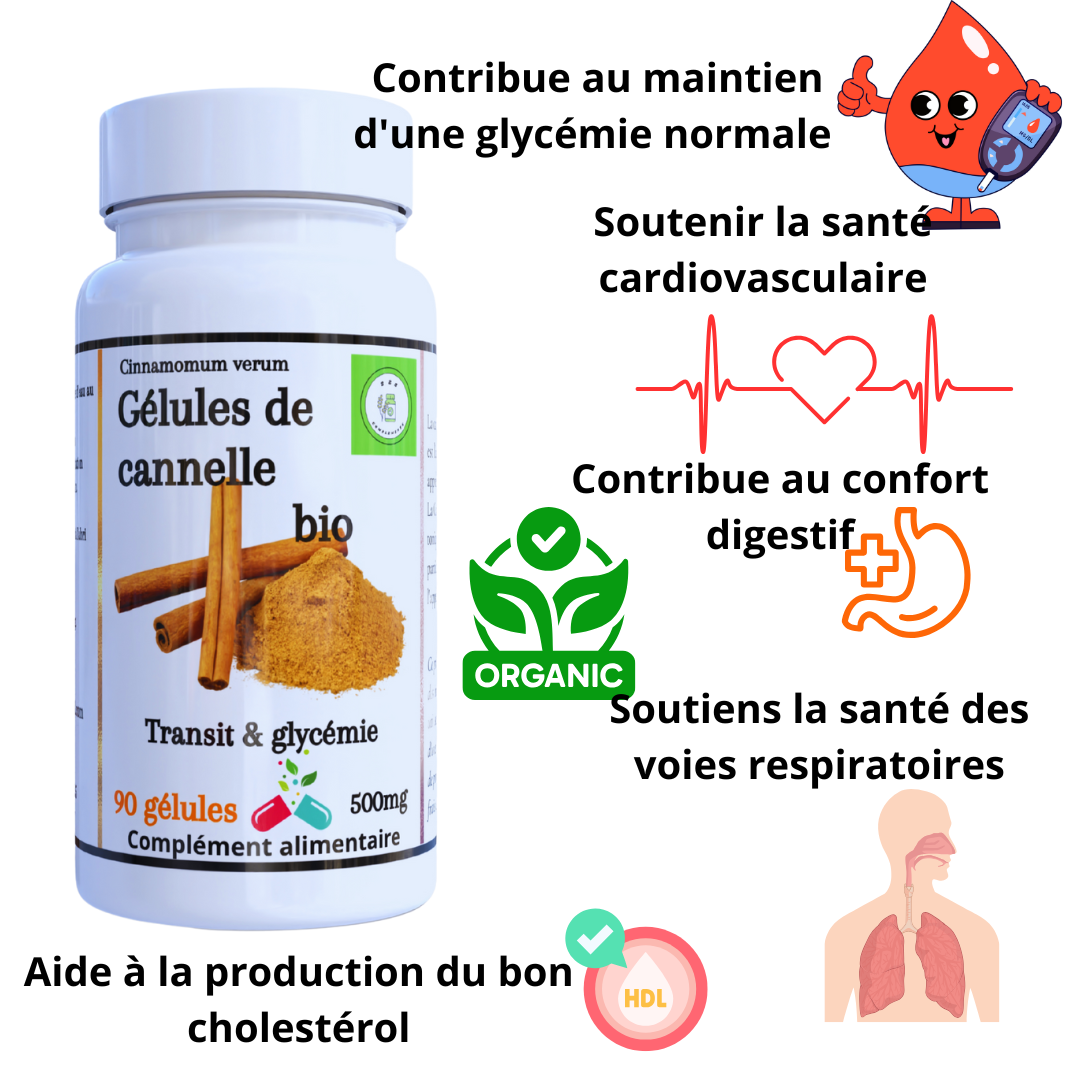 Gélules de cannelle bio