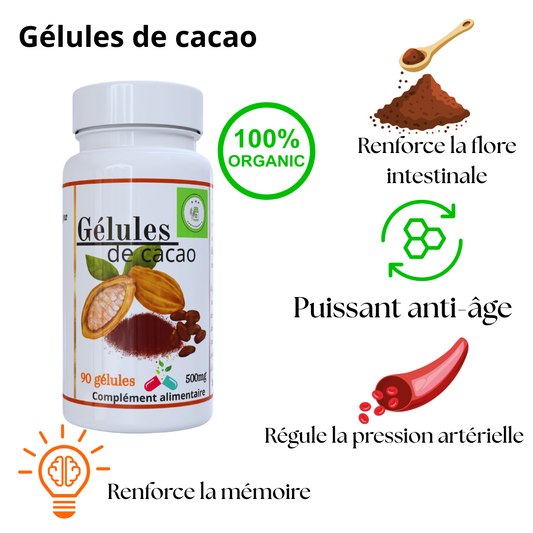 Cacao 90 gélules