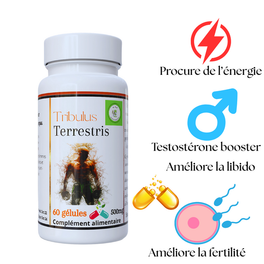 Tribulus terrestris
